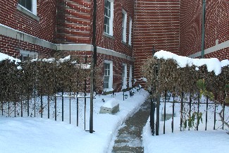 Gate